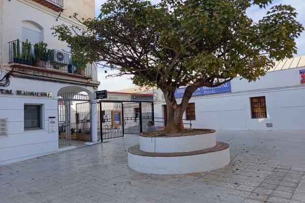 Local en vente à Centro (Nerja)