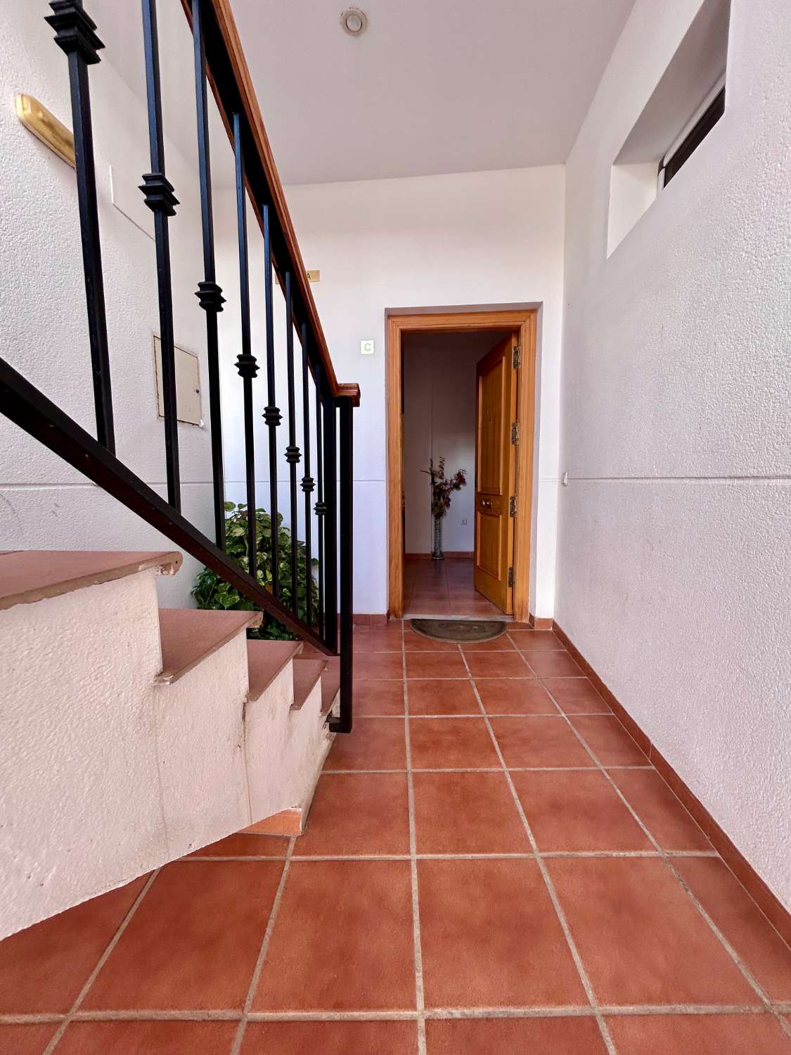 Petit Appartement en vente à Avda Pescia (Nerja)