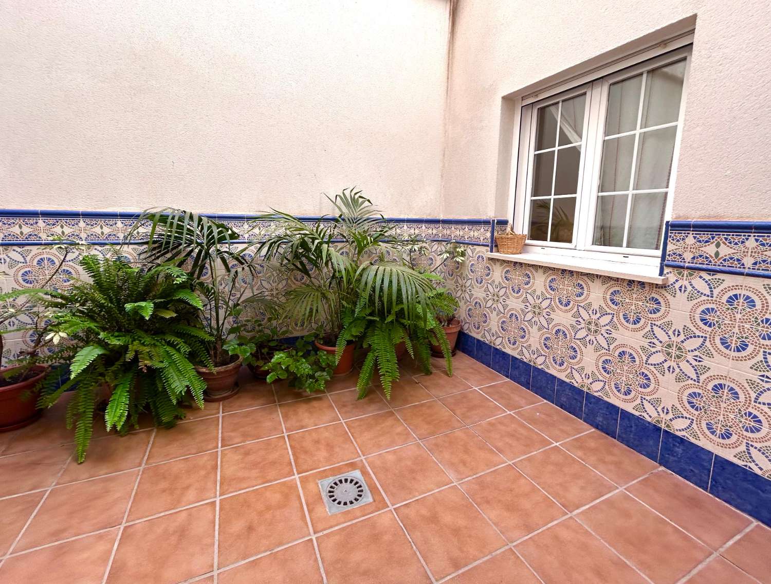 Petit Appartement en vente à Avda Pescia (Nerja)