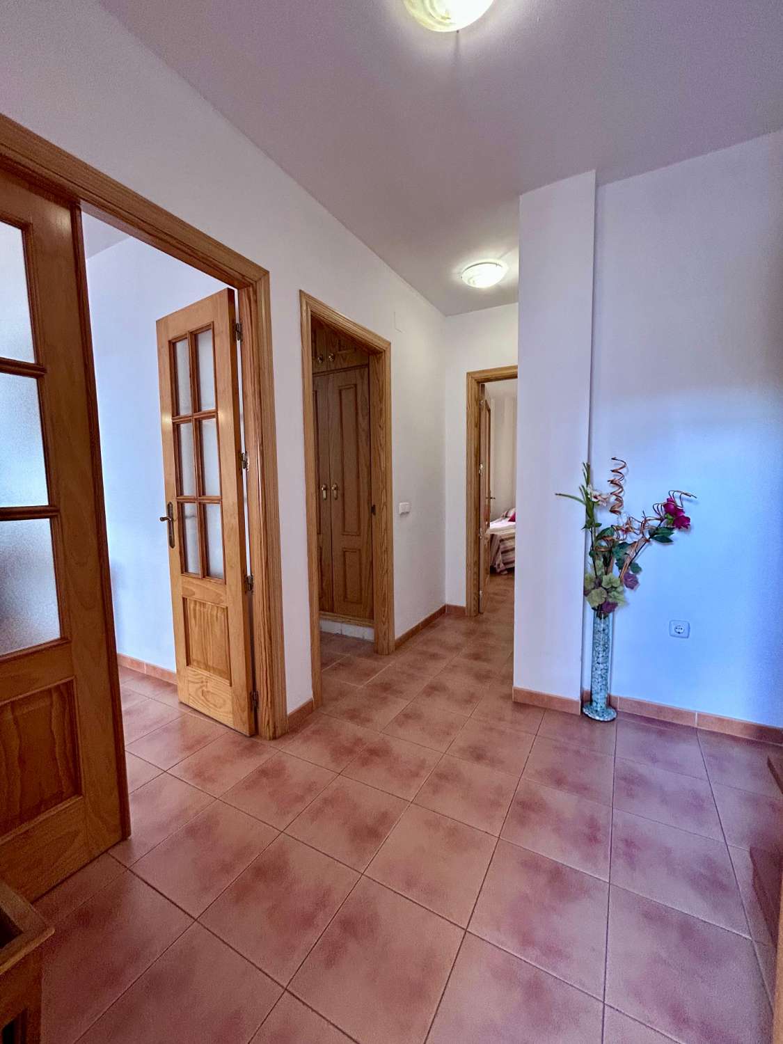 Petit Appartement en vente à Avda Pescia (Nerja)