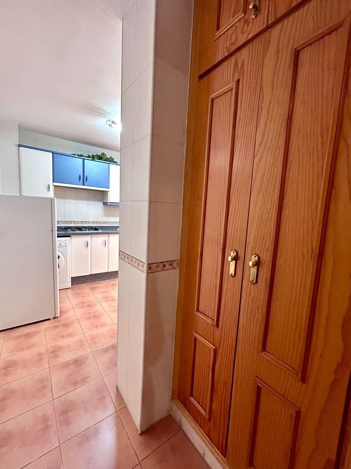 Petit Appartement en vente à Avda Pescia (Nerja)